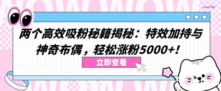 两个高效吸粉秘籍揭秘：特效加持与神奇布偶，轻松涨粉5000+【揭秘】-我创创业-副业网-网络创业-资源分享-网课资源-学习教程-学知识-自媒体-抖音-视频号-小红书-网络项目,赚钱软件,副业,兼职,学生赚,挂机赚-我创创业-副业网-5ccy.cn