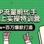 (9881期)自然IP流量孵化手 14天线上实操特训营【第9期】月入5w+百万爆款打造 (74节)-我创创业-副业网-网络创业-资源分享-网课资源-学习教程-学知识-自媒体-抖音-视频号-小红书-网络项目,赚钱软件,副业,兼职,学生赚,挂机赚-我创创业-副业网-5ccy.cn