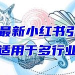 2024最新小红书引流,适用于任何行业,小白也可以轻松的打粉【揭秘】-我创创业-副业网-网络创业-资源分享-网课资源-学习教程-学知识-自媒体-抖音-视频号-小红书-网络项目,赚钱软件,副业,兼职,学生赚,挂机赚-我创创业-副业网-5ccy.cn