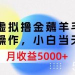 (9864期)虚拟撸金薅羊毛,简单操作,小白当天上手,月收益5000+-我创创业-副业网-网络创业-资源分享-网课资源-学习教程-学知识-自媒体-抖音-视频号-小红书-网络项目,赚钱软件,副业,兼职,学生赚,挂机赚-我创创业-副业网-5ccy.cn