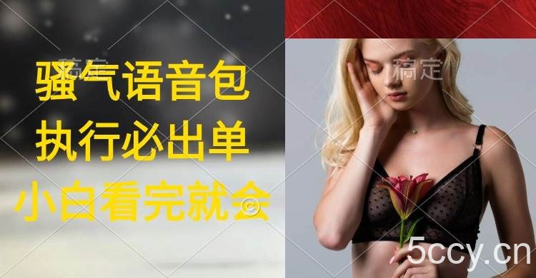 (9589期)执行就出单,日入2000+,超火骚气语音包,小白看完课程就能马上实操