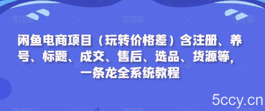 闲鱼电商项目(玩转价格差)含注册、养号、标题、成交、售后、选品、货源等,一条龙全系统教程