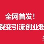 (9061期)(全网首发)外面收费几千的裂变引流高质量创业粉-我创创业-副业网-网络创业-资源分享-网课资源-学习教程-学知识-自媒体-抖音-视频号-小红书-网络项目,赚钱软件,副业,兼职,学生赚,挂机赚-我创创业-副业网-5ccy.cn