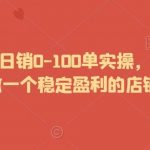 2024拼多多日销0-100单实操，让你迅速起步，做一个稳定盈利的店铺出来-我创创业-副业网-网络创业-资源分享-网课资源-学习教程-学知识-自媒体-抖音-视频号-小红书-网络项目,赚钱软件,副业,兼职,学生赚,挂机赚-我创创业-副业网-5ccy.cn
