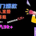 冷门爆款直播间手把手搭建，流量巨大，日入3k+【揭秘】-我创创业-副业网-网络创业-资源分享-网课资源-学习教程-学知识-自媒体-抖音-视频号-小红书-网络项目,赚钱软件,副业,兼职,学生赚,挂机赚-我创创业-副业网-5ccy.cn