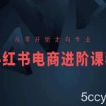 从零开始走向专业，小红书电商进阶课程-我创创业-副业网-网络创业-资源分享-网课资源-学习教程-学知识-自媒体-抖音-视频号-小红书-网络项目,赚钱软件,副业,兼职,学生赚,挂机赚-我创创业-副业网-5ccy.cn