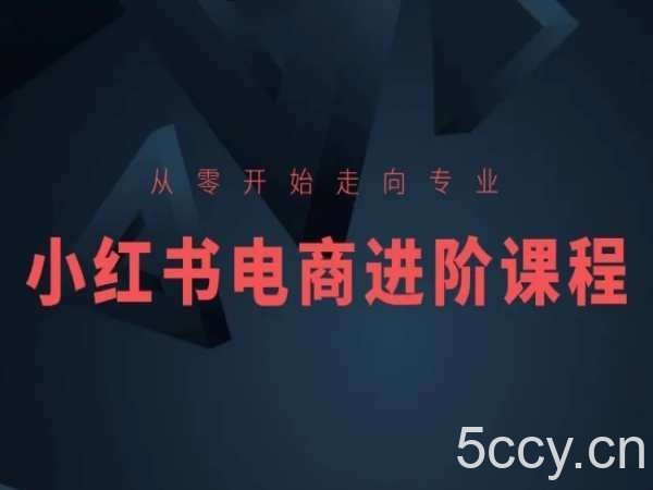 从零开始走向专业，小红书电商进阶课程-我创创业-副业网-网络创业-资源分享-网课资源-学习教程-学知识-自媒体-抖音-视频号-小红书-网络项目,赚钱软件,副业,兼职,学生赚,挂机赚-我创创业-副业网-5ccy.cn