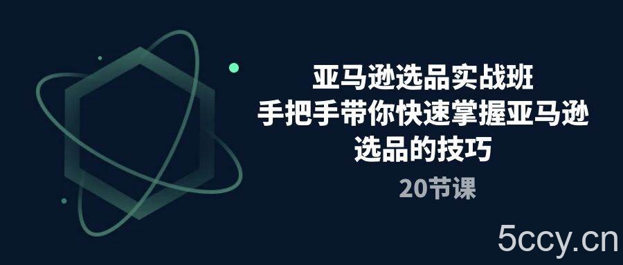 (10533期)亚马逊选品实战班,手把手带你快速掌握亚马逊选品的技巧(20节课)
