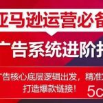 亚马逊运营必备： SP广告的系统进阶打法，从广告核心底层逻辑出发，精准发力打造爆款链接-我创创业-副业网-网络创业-资源分享-网课资源-学习教程-学知识-自媒体-抖音-视频号-小红书-网络项目,赚钱软件,副业,兼职,学生赚,挂机赚-我创创业-副业网-5ccy.cn