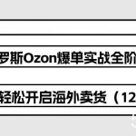 （10555期）俄罗斯 Ozon-爆单实战全阶体系课，零基础轻松开启海外卖货（12节课）-我创创业-副业网-网络创业-资源分享-网课资源-学习教程-学知识-自媒体-抖音-视频号-小红书-网络项目,赚钱软件,副业,兼职,学生赚,挂机赚-我创创业-副业网-5ccy.cn