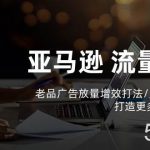 （10566期）亚马逊流量 增长-老品广告 放量增效打法/销量翻倍/打造更多TOP listing-我创创业-副业网-网络创业-资源分享-网课资源-学习教程-学知识-自媒体-抖音-视频号-小红书-网络项目,赚钱软件,副业,兼职,学生赚,挂机赚-我创创业-副业网-5ccy.cn