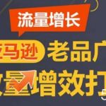 亚马逊流量增长-老品广告放量增效打法，循序渐进，打造更多TOP listing-我创创业-副业网-网络创业-资源分享-网课资源-学习教程-学知识-自媒体-抖音-视频号-小红书-网络项目,赚钱软件,副业,兼职,学生赚,挂机赚-我创创业-副业网-5ccy.cn
