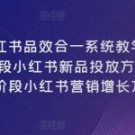 小红书品效合一系统教学，0~1阶段小红书新品投放方法论，1~10阶段小红书营销增长方法论-我创创业-副业网-网络创业-资源分享-网课资源-学习教程-学知识-自媒体-抖音-视频号-小红书-网络项目,赚钱软件,副业,兼职,学生赚,挂机赚-我创创业-副业网-5ccy.cn