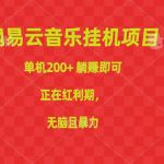 （10577期）网易云音乐挂机项目，单机200+，躺赚即可，正在红利期，无脑且暴力-我创创业-副业网-网络创业-资源分享-网课资源-学习教程-学知识-自媒体-抖音-视频号-小红书-网络项目,赚钱软件,副业,兼职,学生赚,挂机赚-我创创业-副业网-5ccy.cn