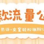 爆款流量公式，网易热评+文案轻松涨粉50w+【揭秘】-我创创业-副业网-网络创业-资源分享-网课资源-学习教程-学知识-自媒体-抖音-视频号-小红书-网络项目,赚钱软件,副业,兼职,学生赚,挂机赚-我创创业-副业网-5ccy.cn