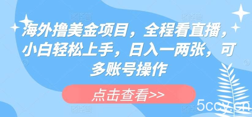海外撸美金项目，全程看直播，小白轻松上手，日入一两张，可多账号操作【揭秘】-我创创业-副业网-网络创业-资源分享-网课资源-学习教程-学知识-自媒体-抖音-视频号-小红书-网络项目,赚钱软件,副业,兼职,学生赚,挂机赚-我创创业-副业网-5ccy.cn