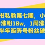 小红书私教第七期，小红书90天涨粉18w，1周涨粉破万，半年矩阵号粉丝破百万-我创创业-副业网-网络创业-资源分享-网课资源-学习教程-学知识-自媒体-抖音-视频号-小红书-网络项目,赚钱软件,副业,兼职,学生赚,挂机赚-我创创业-副业网-5ccy.cn