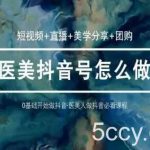玩转医美抖音短视频与直播，36堂网课学逻辑(短视频+直播+美学分享+团购)-我创创业-副业网-网络创业-资源分享-网课资源-学习教程-学知识-自媒体-抖音-视频号-小红书-网络项目,赚钱软件,副业,兼职,学生赚,挂机赚-我创创业-副业网-5ccy.cn