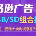 亚马逊SP/SB/SD广告组合打法，揭秘大卖利润暴涨7倍战术-我创创业-副业网-网络创业-资源分享-网课资源-学习教程-学知识-自媒体-抖音-视频号-小红书-网络项目,赚钱软件,副业,兼职,学生赚,挂机赚-我创创业-副业网-5ccy.cn