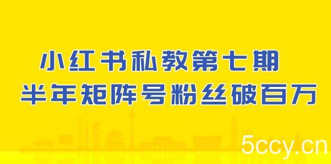 小红书私教第七期，小红书90天涨粉18w，1周涨粉破万 半年矩阵号粉丝破百万-我创创业-副业网-网络创业-资源分享-网课资源-学习教程-学知识-自媒体-抖音-视频号-小红书-网络项目,赚钱软件,副业,兼职,学生赚,挂机赚-我创创业-副业网-5ccy.cn