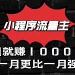小程序流量主首月就赚10000+，一月更比一月强！小本创业首选-我创创业-副业网-网络创业-资源分享-网课资源-学习教程-学知识-自媒体-抖音-视频号-小红书-网络项目,赚钱软件,副业,兼职,学生赚,挂机赚-我创创业-副业网-5ccy.cn