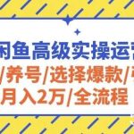2024闲鱼高级实操运营课程:开店/养号/选择爆款/引流/月入2万/全流程-我创创业-副业网-网络创业-资源分享-网课资源-学习教程-学知识-自媒体-抖音-视频号-小红书-网络项目,赚钱软件,副业,兼职,学生赚,挂机赚-我创创业-副业网-5ccy.cn