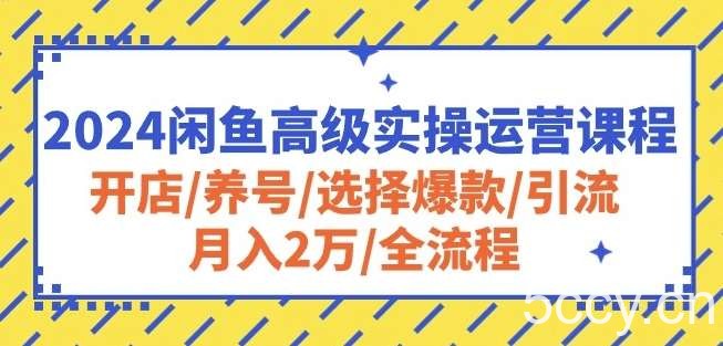2024闲鱼高级实操运营课程：开店/养号/选择爆款/引流/月入2万/全流程-我创创业-副业网-网络创业-资源分享-网课资源-学习教程-学知识-自媒体-抖音-视频号-小红书-网络项目,赚钱软件,副业,兼职,学生赚,挂机赚-我创创业-副业网-5ccy.cn