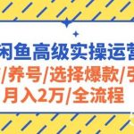 (10711期)2024闲鱼高级实操运营课程:开店/养号/选择爆款/引流/月入2万/全流程-我创创业-副业网-网络创业-资源分享-网课资源-学习教程-学知识-自媒体-抖音-视频号-小红书-网络项目,赚钱软件,副业,兼职,学生赚,挂机赚-我创创业-副业网-5ccy.cn