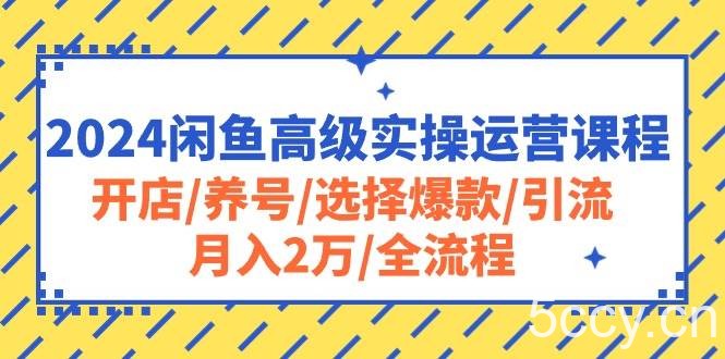 （10711期）2024闲鱼高级实操运营课程：开店/养号/选择爆款/引流/月入2万/全流程-我创创业-副业网-网络创业-资源分享-网课资源-学习教程-学知识-自媒体-抖音-视频号-小红书-网络项目,赚钱软件,副业,兼职,学生赚,挂机赚-我创创业-副业网-5ccy.cn