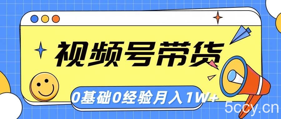 (10723期)视频号轻创业带货,零基础,零经验,月入1w+