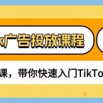(10731期)TikTok广告投放课程,从0-1实战课,带你快速入门TikTok广告投放(30节课)-我创创业-副业网-网络创业-资源分享-网课资源-学习教程-学知识-自媒体-抖音-视频号-小红书-网络项目,赚钱软件,副业,兼职,学生赚,挂机赚-我创创业-副业网-5ccy.cn