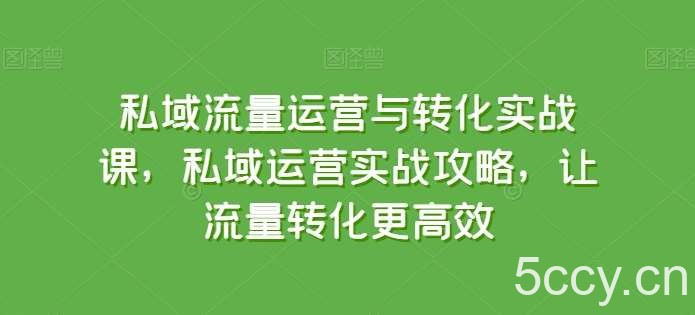 私域流量运营与转化实战课，私域运营实战攻略，让流量转化更高效-我创创业-副业网-网络创业-资源分享-网课资源-学习教程-学知识-自媒体-抖音-视频号-小红书-网络项目,赚钱软件,副业,兼职,学生赚,挂机赚-我创创业-副业网-5ccy.cn