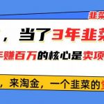 (10759期)悟了,当了3年韭菜,才发现网赚圈年赚100万的核心是卖项目,含泪分享!-我创创业-副业网-网络创业-资源分享-网课资源-学习教程-学知识-自媒体-抖音-视频号-小红书-网络项目,赚钱软件,副业,兼职,学生赚,挂机赚-我创创业-副业网-5ccy.cn