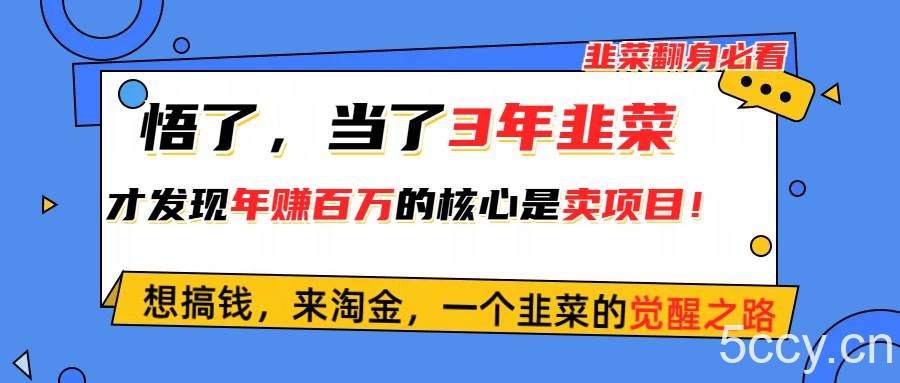 （10759期）悟了，当了3年韭菜，才发现网赚圈年赚100万的核心是卖项目，含泪分享！-我创创业-副业网-网络创业-资源分享-网课资源-学习教程-学知识-自媒体-抖音-视频号-小红书-网络项目,赚钱软件,副业,兼职,学生赚,挂机赚-我创创业-副业网-5ccy.cn