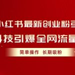 (10789期)小红书最新创业粉引流,黑科技引爆全网流量裂变,简单操作长期吸粉-我创创业-副业网-网络创业-资源分享-网课资源-学习教程-学知识-自媒体-抖音-视频号-小红书-网络项目,赚钱软件,副业,兼职,学生赚,挂机赚-我创创业-副业网-5ccy.cn