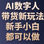 (10785期)AI数字人带货新玩法,新手小白都可以做-我创创业-副业网-网络创业-资源分享-网课资源-学习教程-学知识-自媒体-抖音-视频号-小红书-网络项目,赚钱软件,副业,兼职,学生赚,挂机赚-我创创业-副业网-5ccy.cn