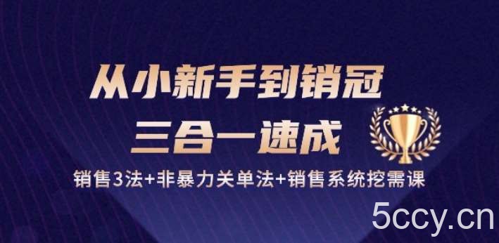 从小新手到销冠 三合一速成:销售3法+非暴力关单法+销售系统挖需课 (27节)