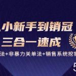 从小新手到销冠三合一速成:销售3法+非暴力关单法+销售系统挖需课 (27节)-我创创业-副业网-网络创业-资源分享-网课资源-学习教程-学知识-自媒体-抖音-视频号-小红书-网络项目,赚钱软件,副业,兼职,学生赚,挂机赚-我创创业-副业网-5ccy.cn