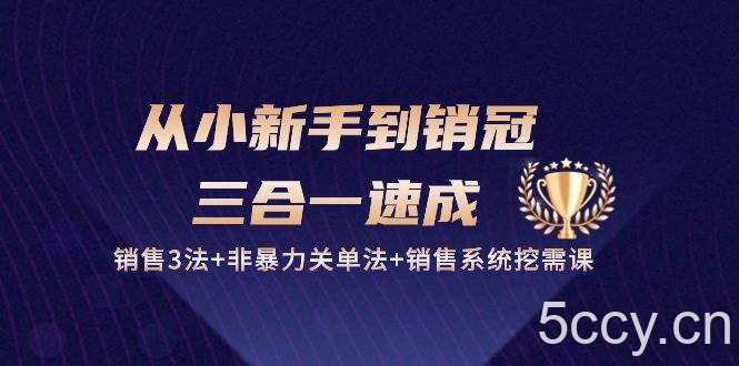 从小新手到销冠三合一速成：销售3法+非暴力关单法+销售系统挖需课 (27节)-我创创业-副业网-网络创业-资源分享-网课资源-学习教程-学知识-自媒体-抖音-视频号-小红书-网络项目,赚钱软件,副业,兼职,学生赚,挂机赚-我创创业-副业网-5ccy.cn