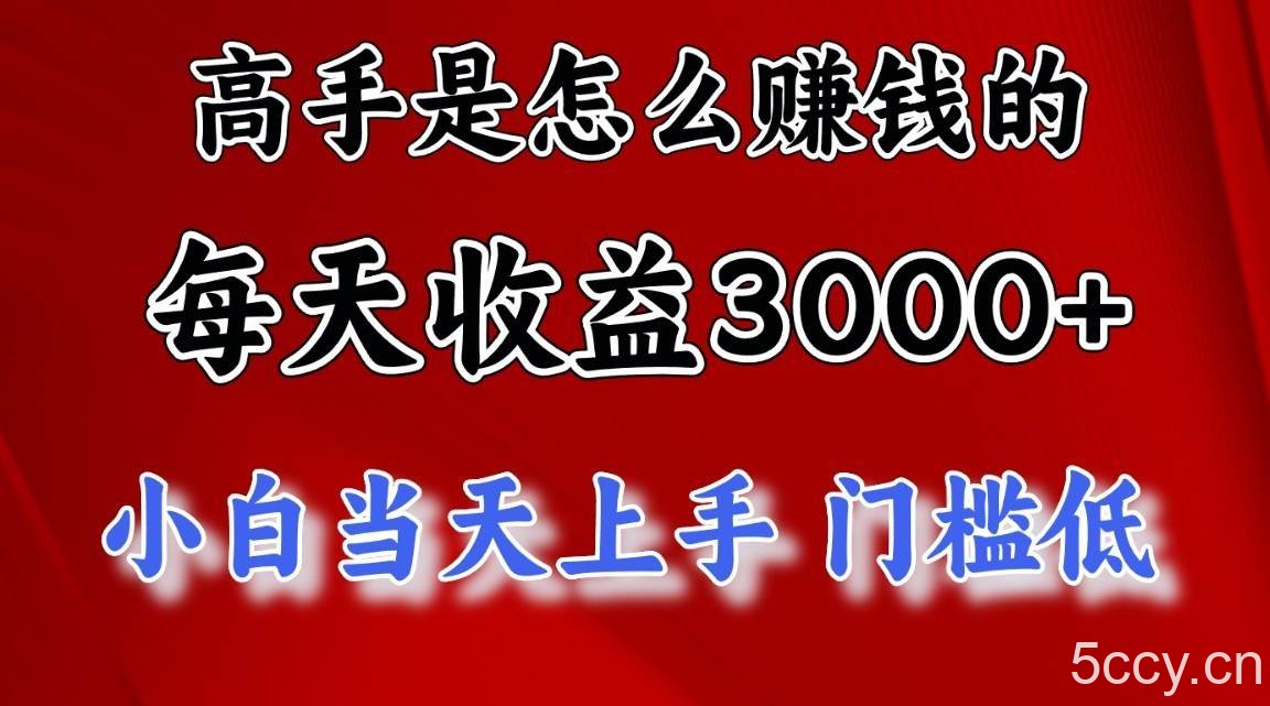 高手是怎么赚钱的,一天收益3000+,闷声发财项目,不是一般人能看懂的