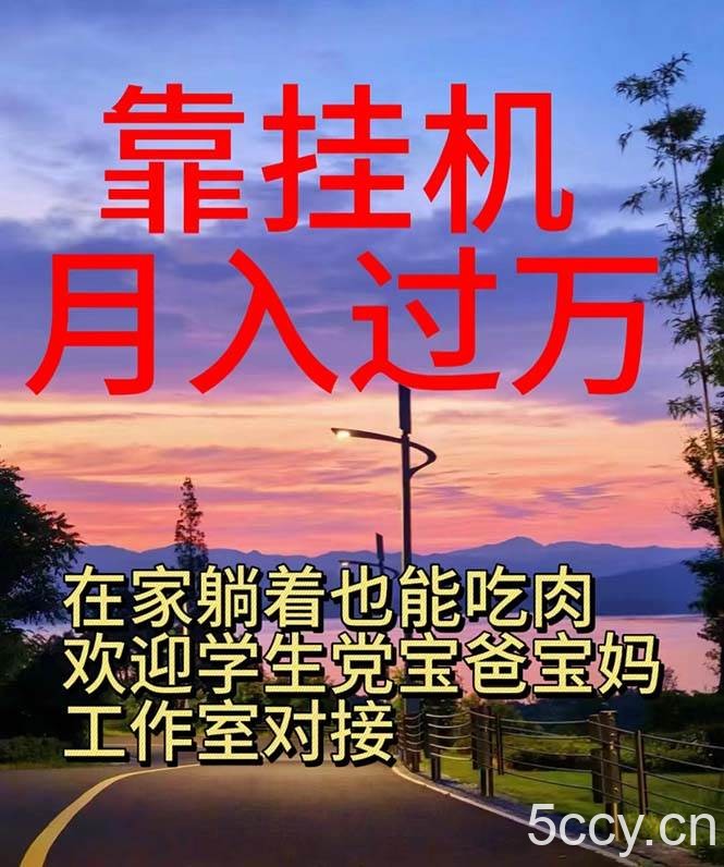 （10838期）靠挂机，日入1000+，躺着也能吃肉，适合宝爸宝妈学生党工作室，电脑手…-我创创业-副业网-网络创业-资源分享-网课资源-学习教程-学知识-自媒体-抖音-视频号-小红书-网络项目,赚钱软件,副业,兼职,学生赚,挂机赚-我创创业-副业网-5ccy.cn
