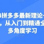 2024拼多多最新理论+实操干货,从入门到精通全链路多角度学习-我创创业-副业网-网络创业-资源分享-网课资源-学习教程-学知识-自媒体-抖音-视频号-小红书-网络项目,赚钱软件,副业,兼职,学生赚,挂机赚-我创创业-副业网-5ccy.cn
