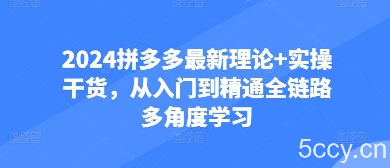 2024拼多多最新理论+实操干货,从入门到精通全链路多角度学习