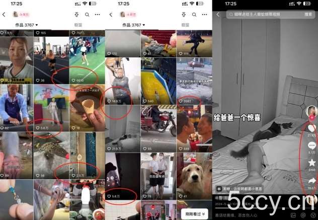 抖音最新双图文卡模板搬运技术，安卓苹果通用，百万千万播放嘎嘎爆