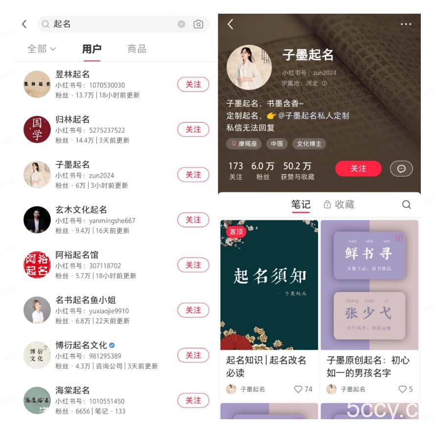 (10856期)小红书起名虚拟副业项目,实操单日暴力变现2000+,简单好操作,快速上手