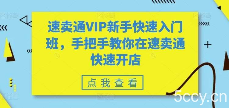 速卖通VIP新手快速入门班,手把手教你在速卖通快速开店