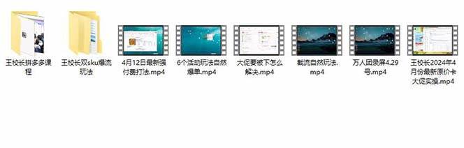 （10865期）拼多多·实战课：万人团玩法/截流自然流/最新强付费打法/最新原价卡大促..