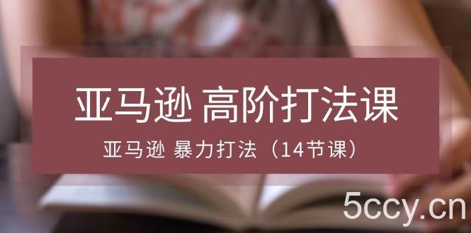 （10870期）亚马逊 高阶打法课，亚马逊 暴力打法（14节课）-我创创业-副业网-网络创业-资源分享-网课资源-学习教程-学知识-自媒体-抖音-视频号-小红书-网络项目,赚钱软件,副业,兼职,学生赚,挂机赚-我创创业-副业网-5ccy.cn