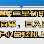 (10903期)闲鱼卖三星打印机,操作简单,日入2000+,新手小白轻松上手-我创创业-副业网-网络创业-资源分享-网课资源-学习教程-学知识-自媒体-抖音-视频号-小红书-网络项目,赚钱软件,副业,兼职,学生赚,挂机赚-我创创业-副业网-5ccy.cn