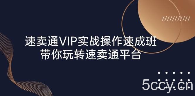 （10935期）速卖通 VIP实战操作-速成班，带你玩转速卖通平台（23节）-我创创业-副业网-网络创业-资源分享-网课资源-学习教程-学知识-自媒体-抖音-视频号-小红书-网络项目,赚钱软件,副业,兼职,学生赚,挂机赚-我创创业-副业网-5ccy.cn